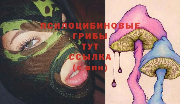 прущие крисы Алексеевка