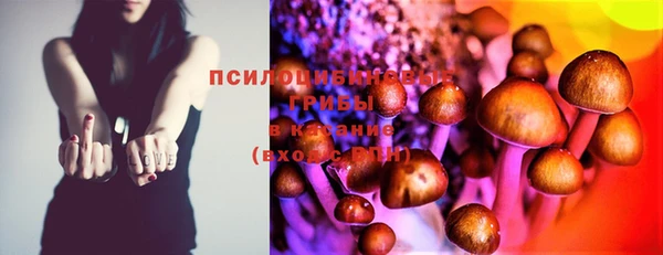 spice Алзамай
