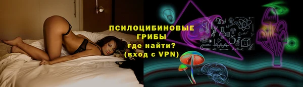 spice Алзамай