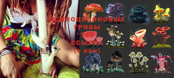 прущие крисы Алексеевка